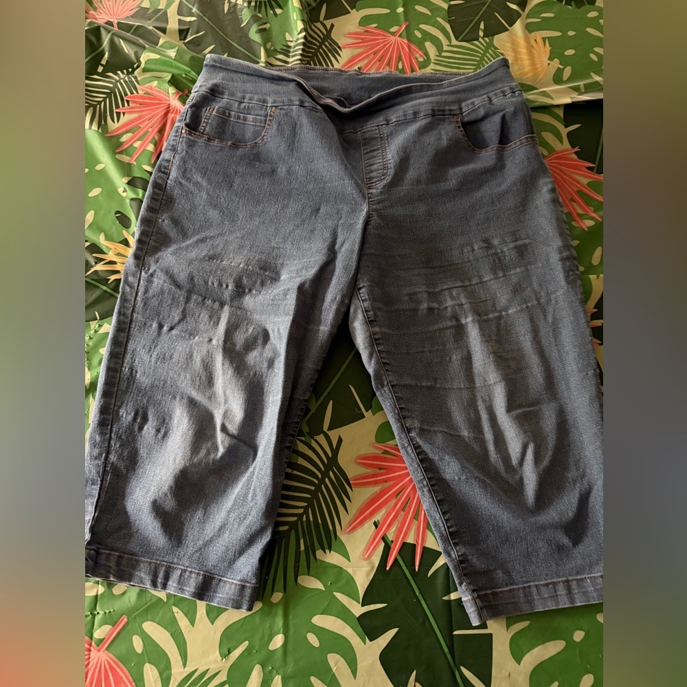 Time And Tru Denim Stretch Capri 16/18